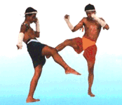 muay thai